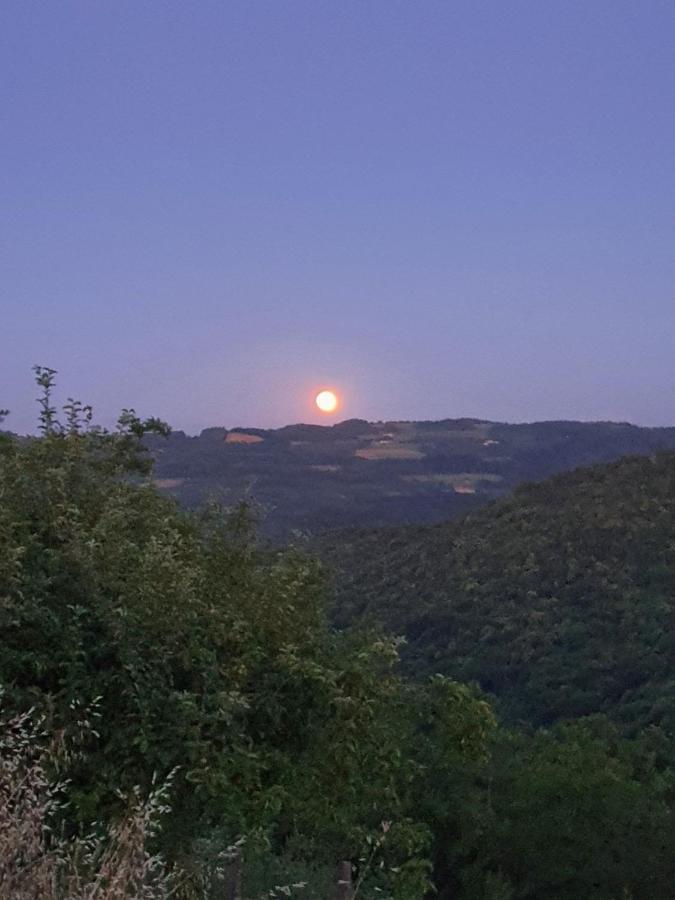 Cascina Brichat Alta Langa Serravalle delle Langhe Εξωτερικό φωτογραφία